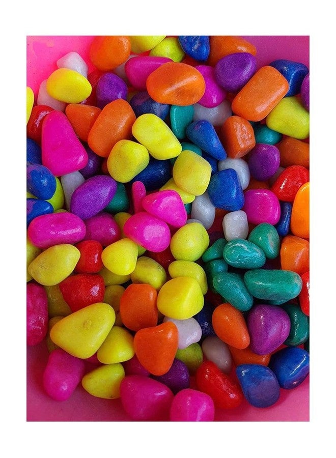 Somil Multicolor Pebbles/Stones for Garden, Plants, Lawns, Aquariums, Fish Pots, Home Decor, Vases, Furniture Filler. Size: 10-30mm, Shiny Multicolor -A573 - Image 1
